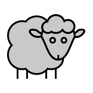 Wool sheep